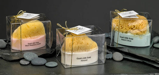 Goat Milk Soap with a Natural Sea Sponge