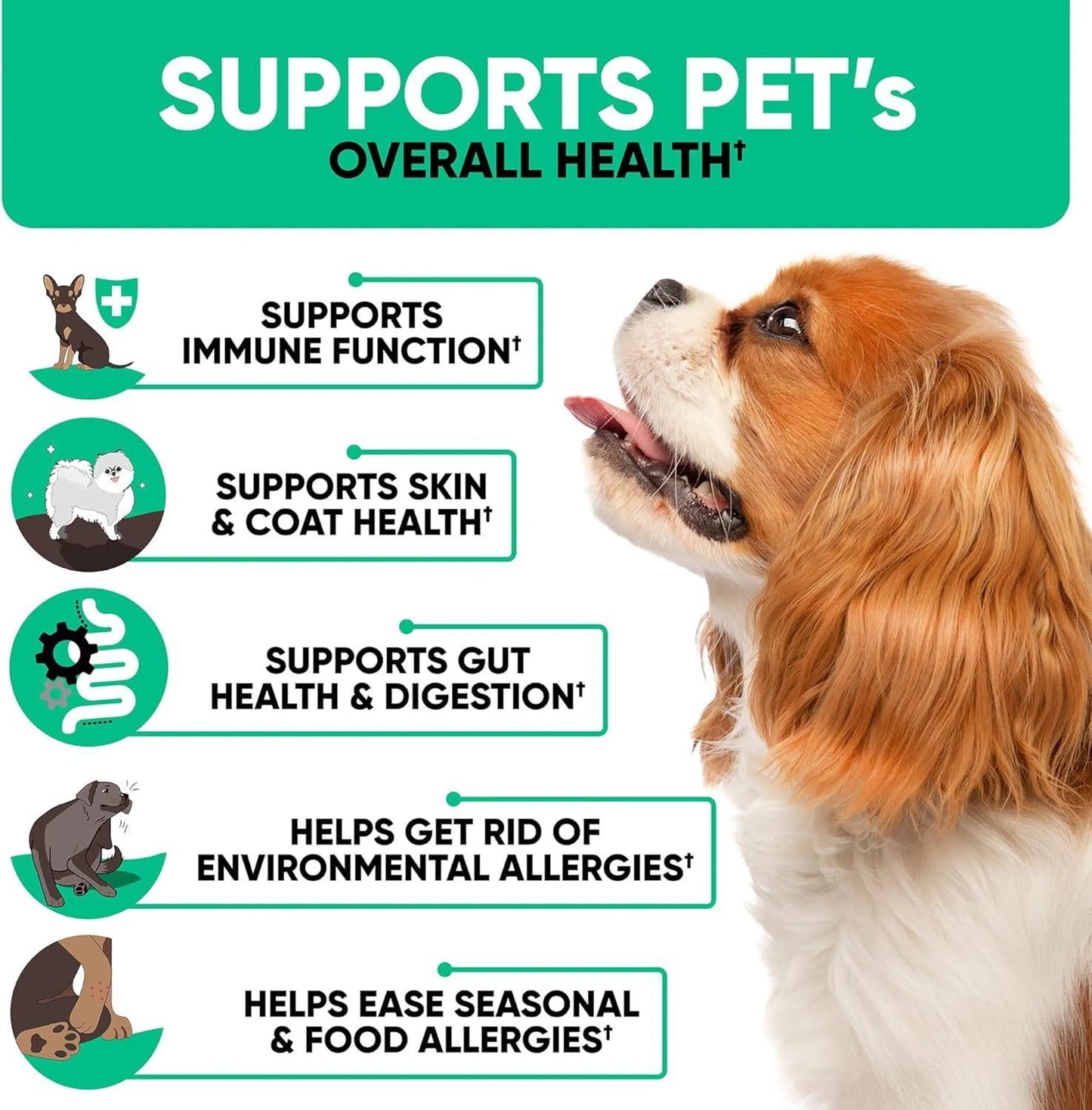 Natural Dog Allergy Chews for Dog Itch